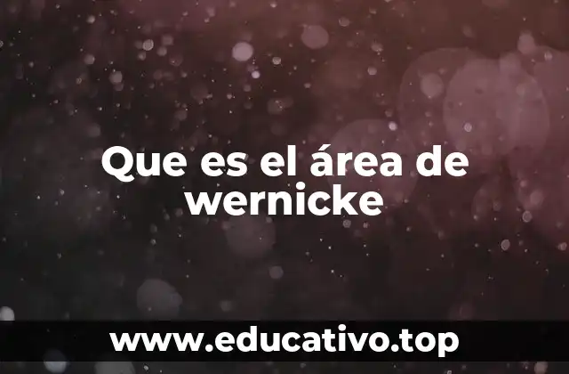 Que es el área de wernicke