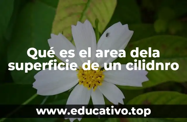 Qué es el area dela superficie de un cilidnro