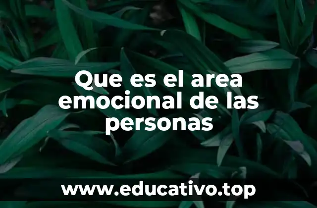 Que es el area emocional de las personas