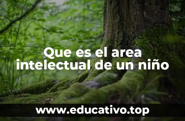 Que es el area intelectual de un niño