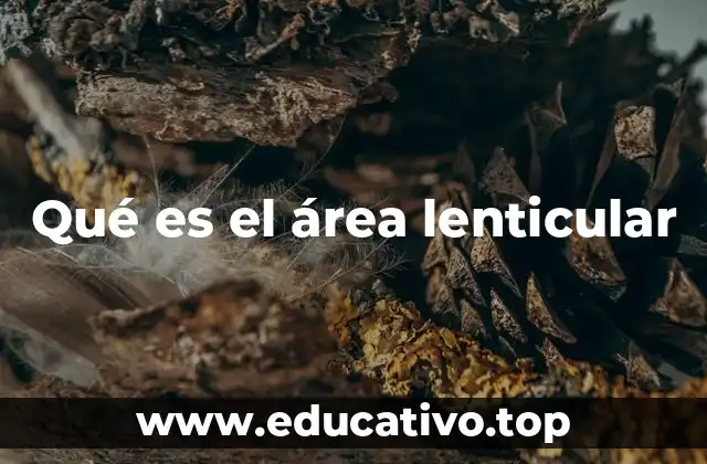 Qué es el área lenticular