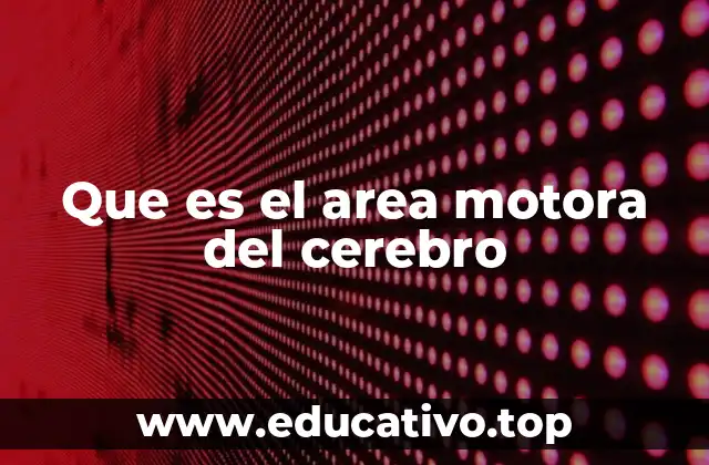 Que es el area motora del cerebro