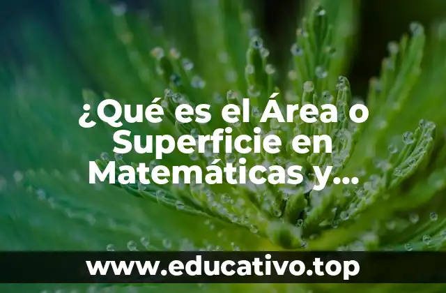 ¿Qué es el Área o Superficie en Matemáticas y Geometría?