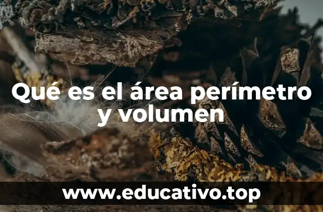Qué es el área perímetro y volumen