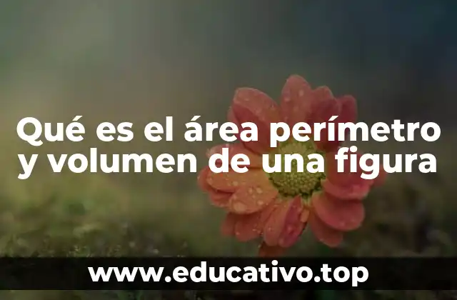 Qué es el área perímetro y volumen de una figura
