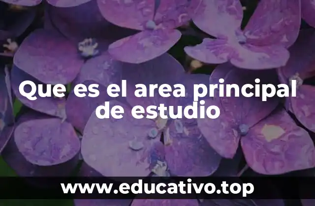 Que es el area principal de estudio