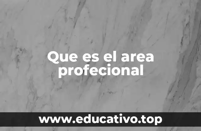 Que es el area profecional