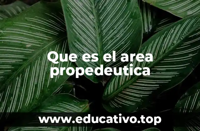 Que es el area propedeutica