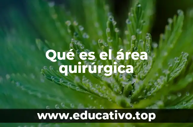 Qué es el área quirúrgica