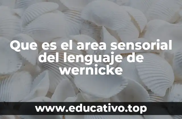 Que es el area sensorial del lenguaje de wernicke