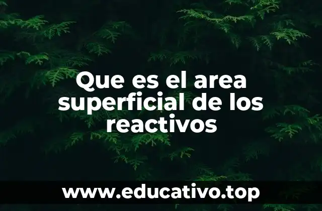 Que es el area superficial de los reactivos