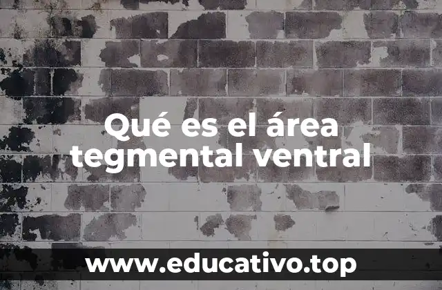 Qué es el área tegmental ventral