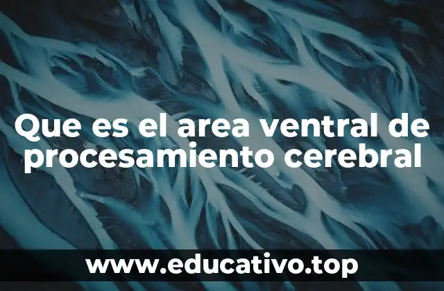 Que es el area ventral de procesamiento cerebral