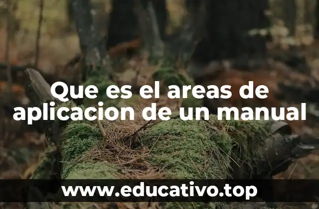 Que es el areas de aplicacion de un manual