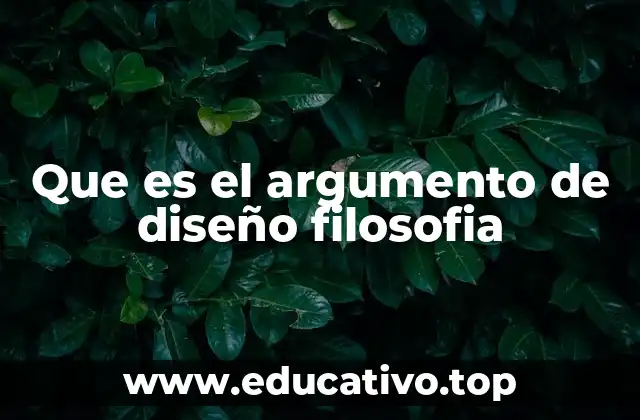 Que es el argumento de diseño filosofia
