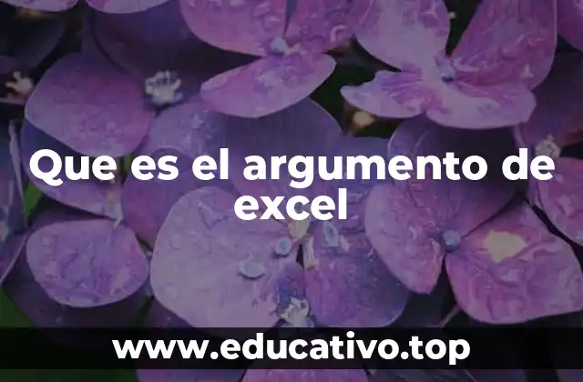 Que es el argumento de excel