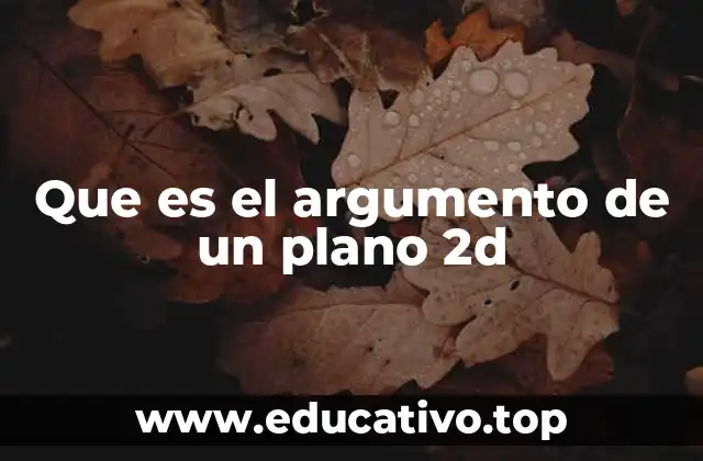 Que es el argumento de un plano 2d