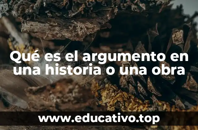 Qué es el argumento en una historia o una obra