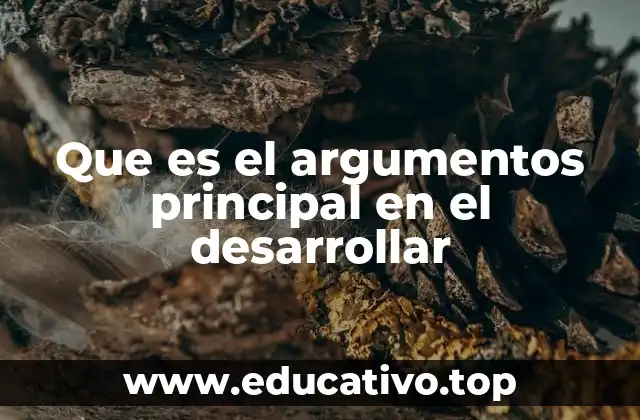 Que es el argumentos principal en el desarrollar