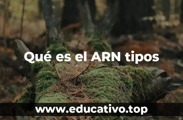 Qué es el ARN tipos