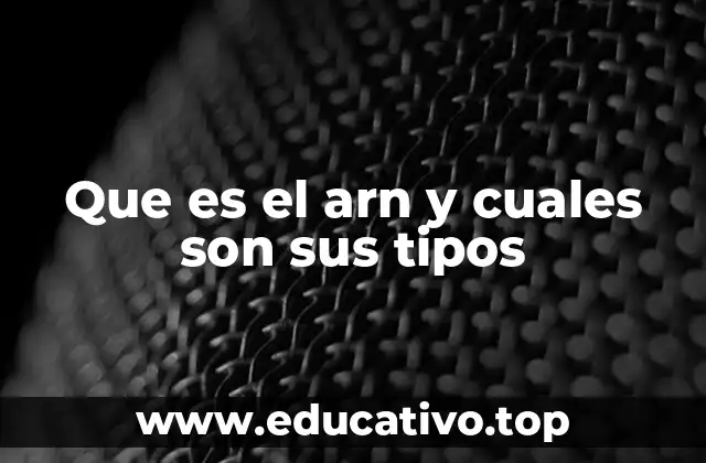 Que es el arn y cuales son sus tipos