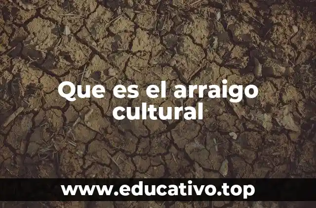 La conexión emocional con la cultura