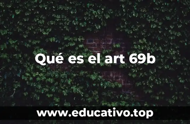 Qué es el art 69b