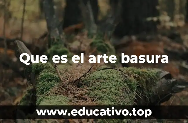 Que es el arte basura