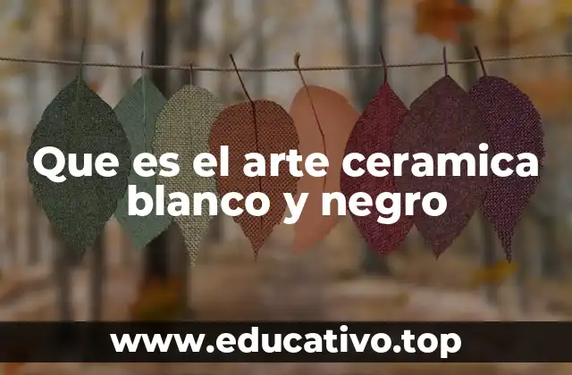 Que es el arte ceramica blanco y negro