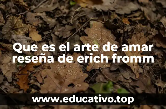 Que es el arte de amar reseña de erich fromm