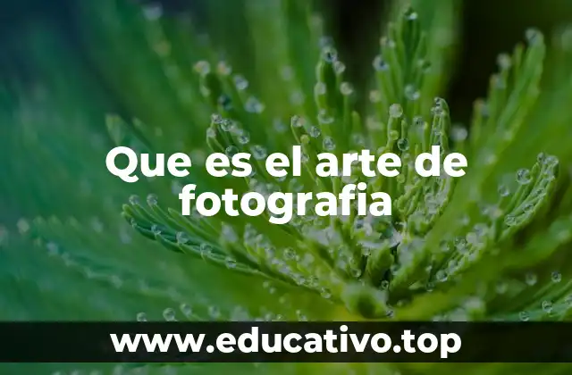 Que es el arte de fotografia