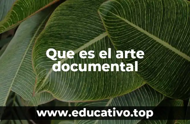 Que es el arte documental