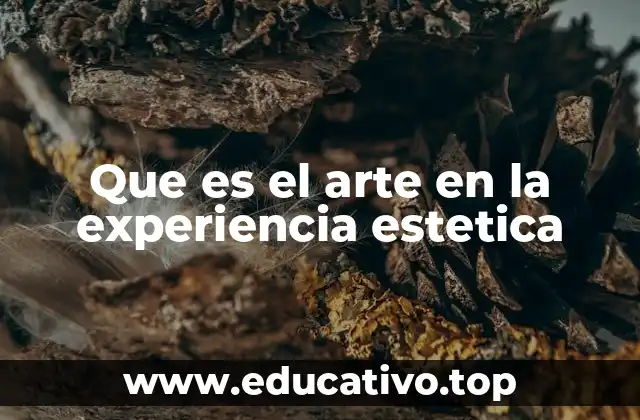 El vínculo entre percepción y significado en la experiencia artística