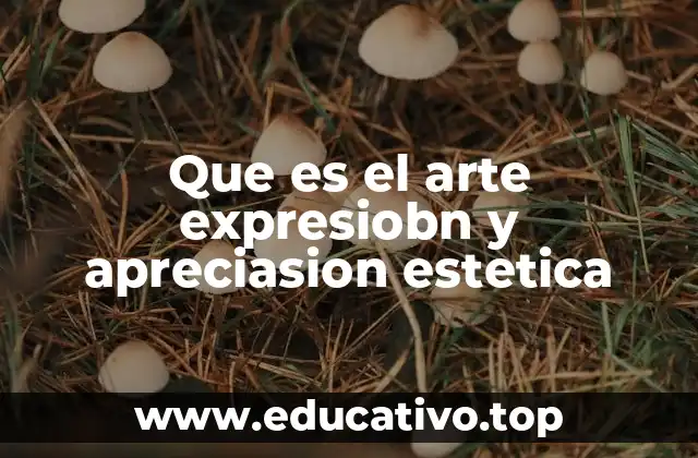 Que es el arte expresiobn y apreciasion estetica