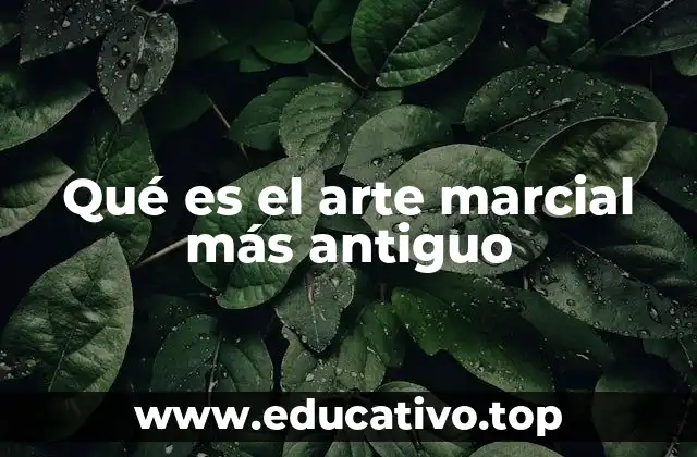 Qué es el arte marcial más antiguo