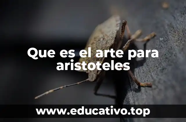 Que es el arte para aristoteles