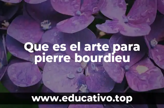 Que es el arte para pierre bourdieu