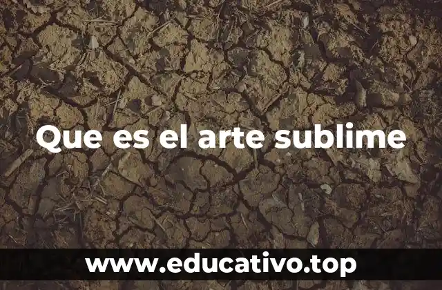 La experiencia estética y lo sublime