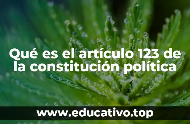 Qué es el artículo 123 de la constitución política
