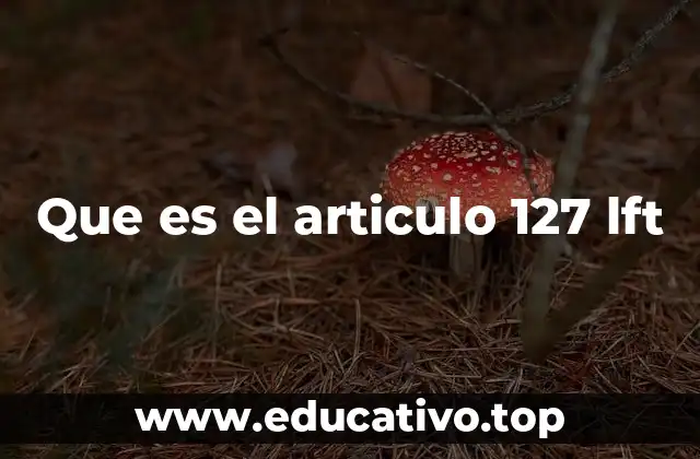 Que es el articulo 127 lft