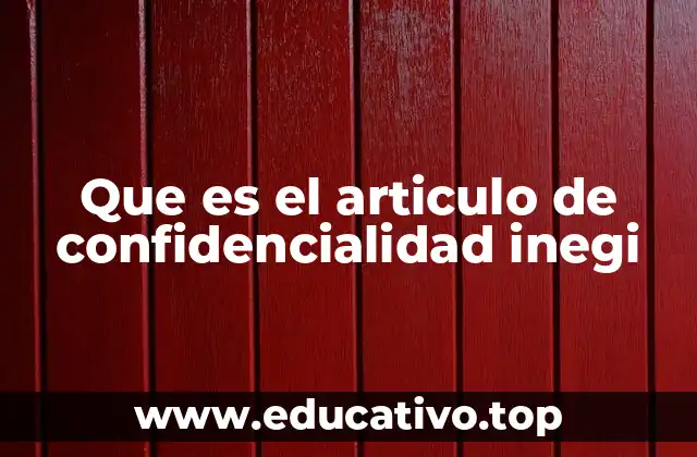 Que es el articulo de confidencialidad inegi