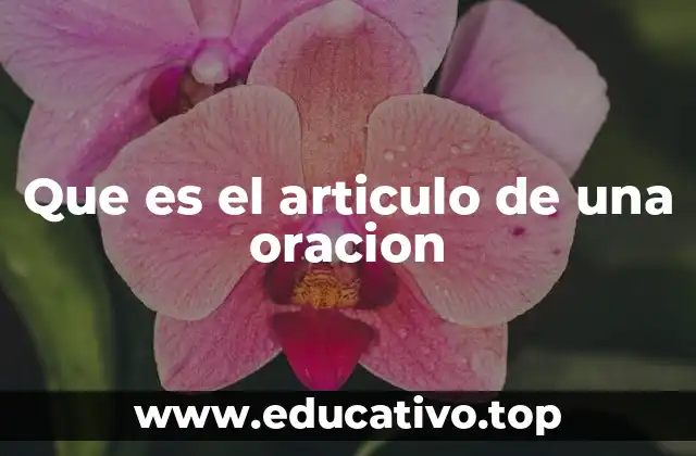 Importancia del artículo en la gramática