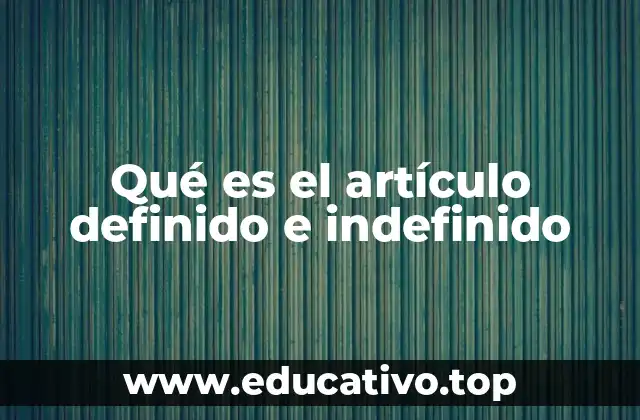 Qué es el artículo definido e indefinido