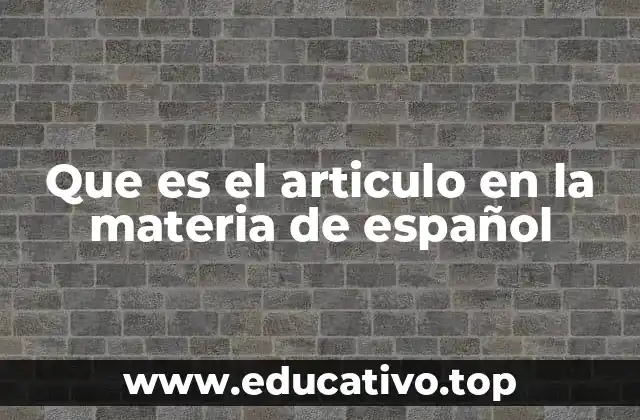 Que es el articulo en la materia de español