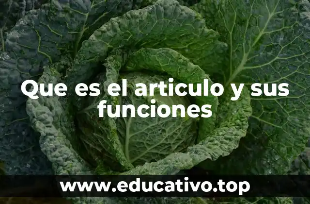 La importancia del artículo en la construcción de oraciones