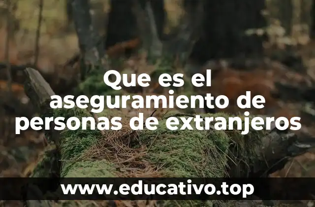 Que es el aseguramiento de personas de extranjeros