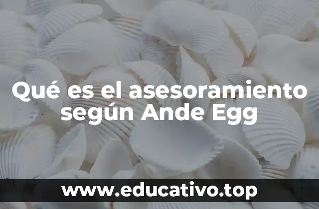 Qué es el asesoramiento según Ande Egg