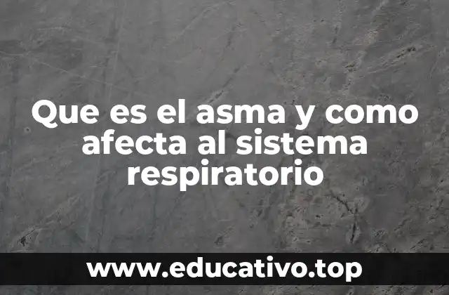 Que es el asma y como afecta al sistema respiratorio