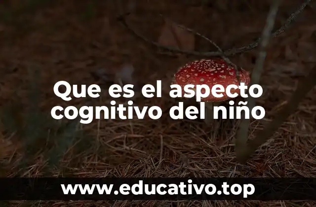 Que es el aspecto cognitivo del niño