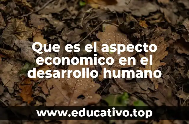Que es el aspecto economico en el desarrollo humano